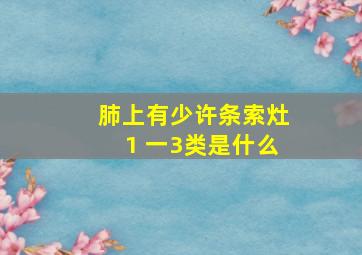 肺上有少许条索灶1 一3类是什么